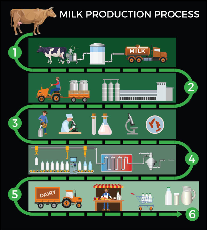 Milk Production - hendel/h-shutterstock